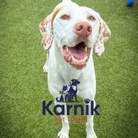 karnikatmaplevillage