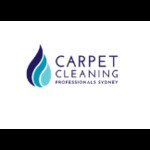 carpetcleaningprofession