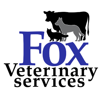Fox  Veterinary 