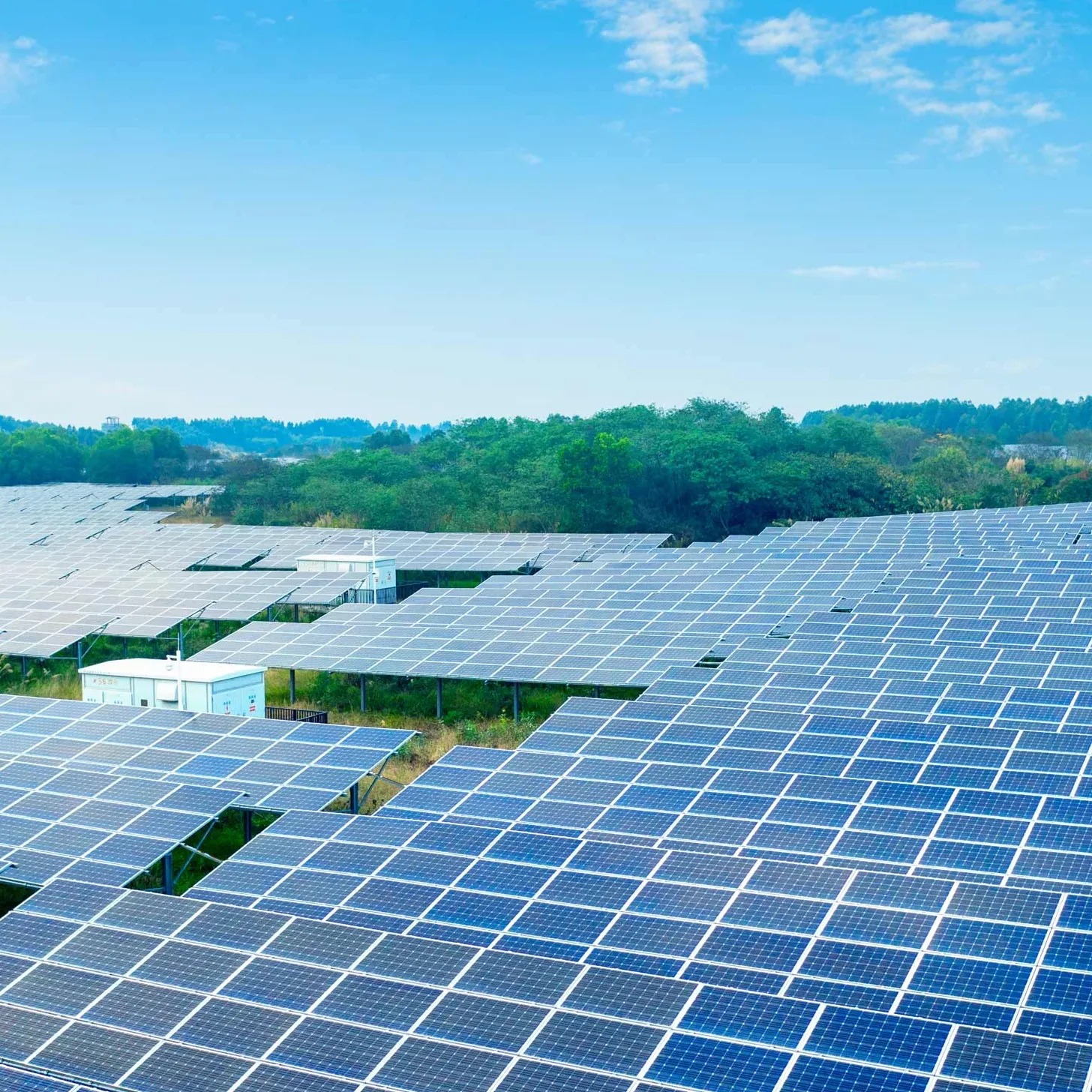 Sunfinity Renewables