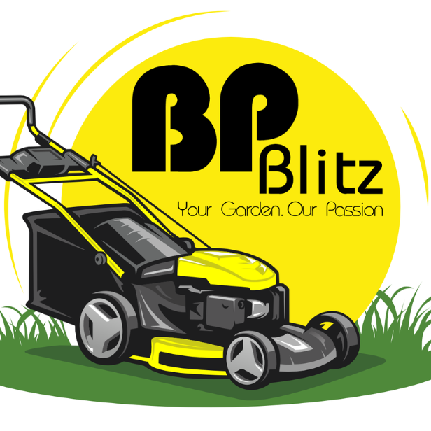 BPBlitz Blitz