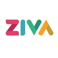 zivawebsites