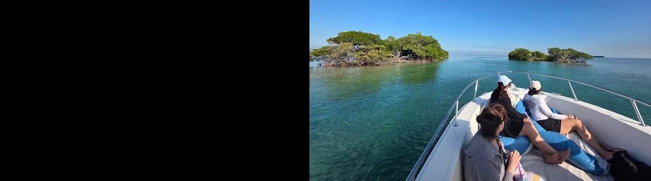 Casual Monday Charters