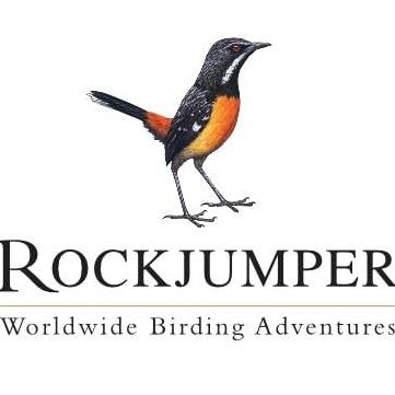 rockjumper