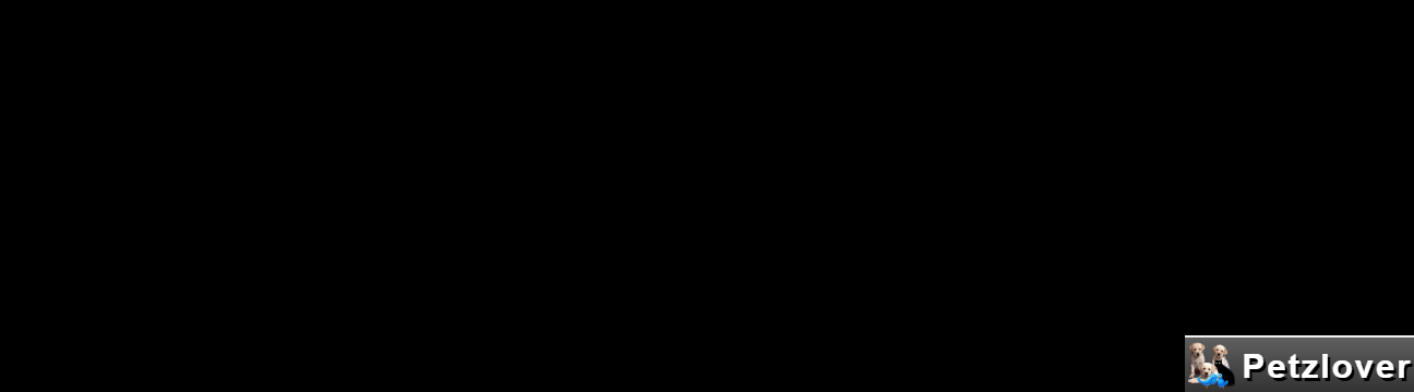 jananidevi