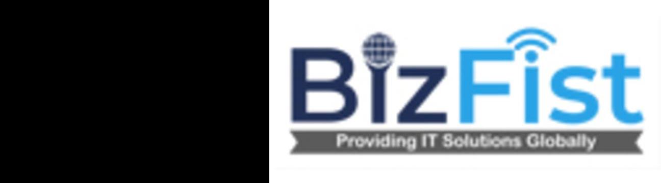 bizfistitsolutions