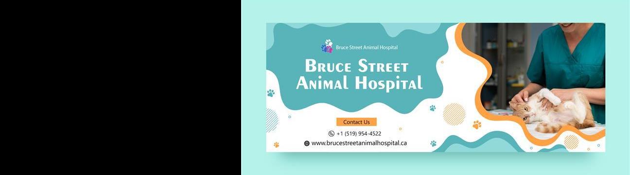 bruceanimalhospital