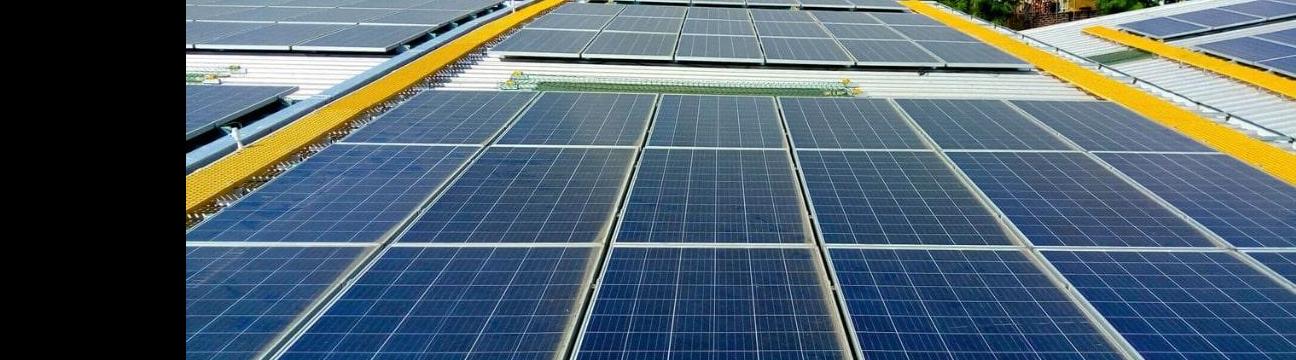 bluebirdsolar