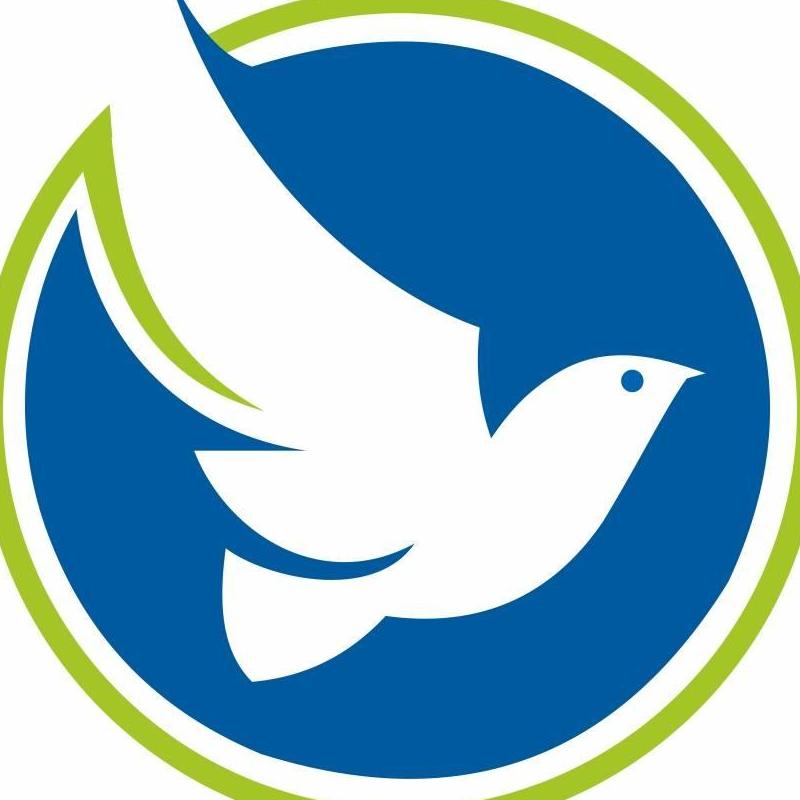 Bluebird Solar Pvt. Ltd.