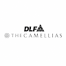 dlfcamellias