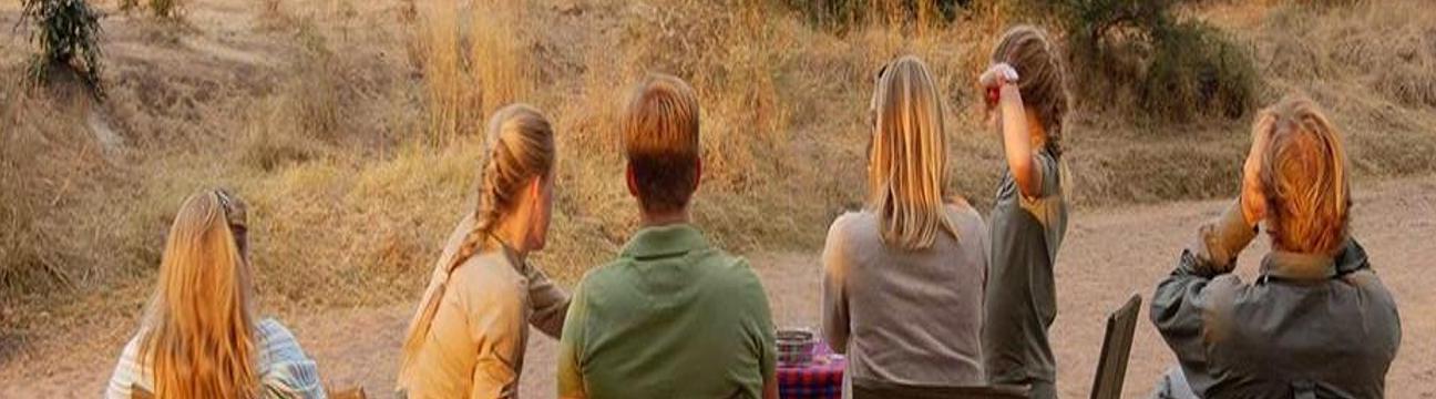 signaturesafari