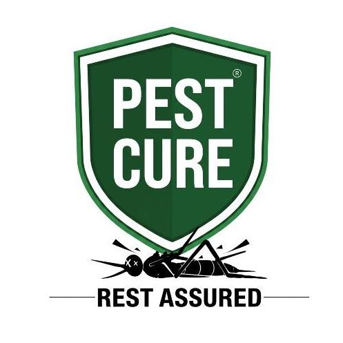 Pestcure Pestcure