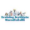 traininginstitutemarathahalli