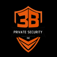3BS ecurity
