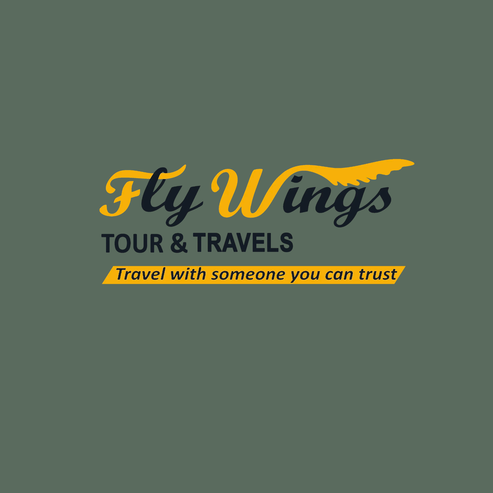 Fly Wings67
