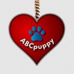 ABC PUPPY Profile Picture