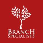 Branch Specialists Tree Service Buffalo Profile Picture