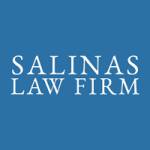 Salinas Law Firm Immigration Lawyer in Houston