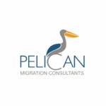 Pelican Migration