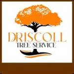 Driscoll Tree Service Profile Picture