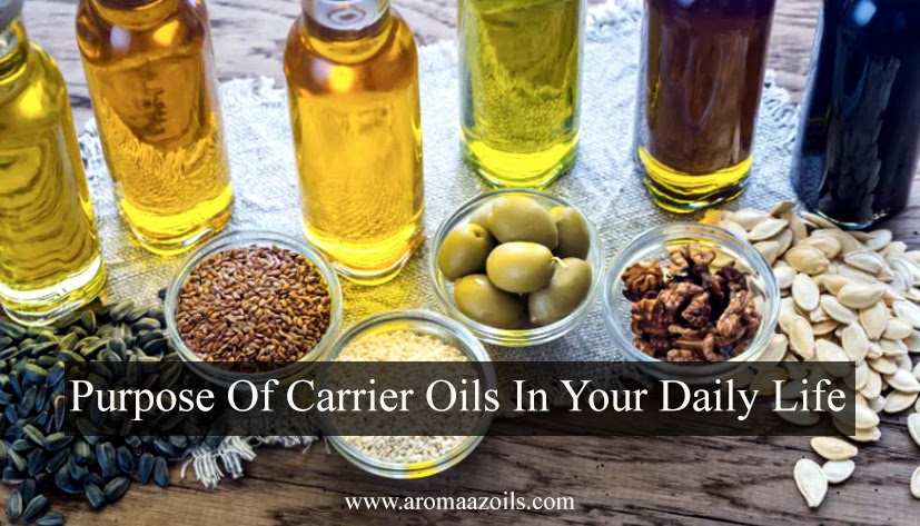 Purpose Of Carrier Oils In Your Daily Life