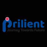 Prilient Information Technology Profile Picture