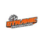Dynamic Tree Solutions Profile Picture