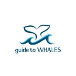 Guide To Whales profile picture