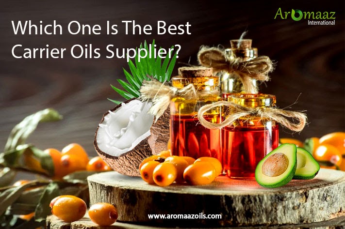 Which One Is The Best Carrier Oil Supplier?