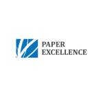 Paper Excellence Profile Picture