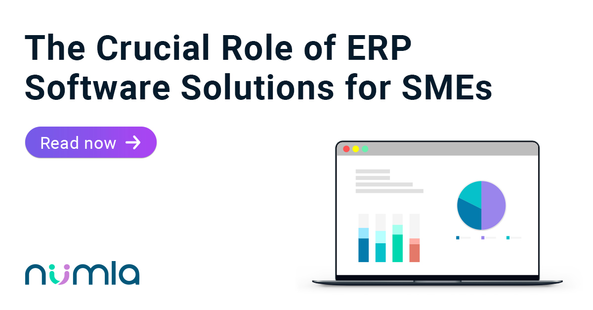 The Role of ERP Software Solutions for SMEs | Numla
