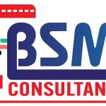 BSMN Consultancy Profile Picture