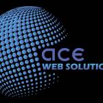 Ace Web Solution Solution Profile Picture