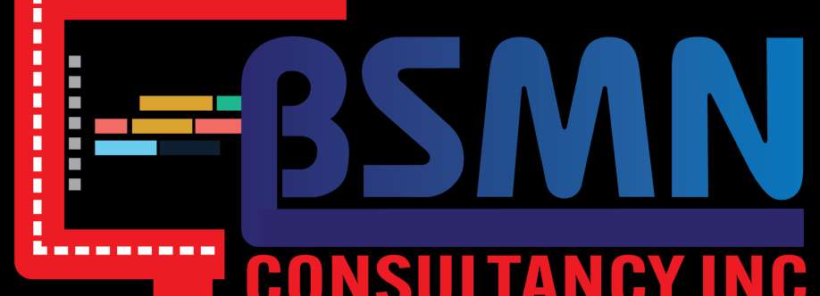 BSMN Consultancy Cover Image