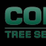 Cody Tree Service Profile Picture