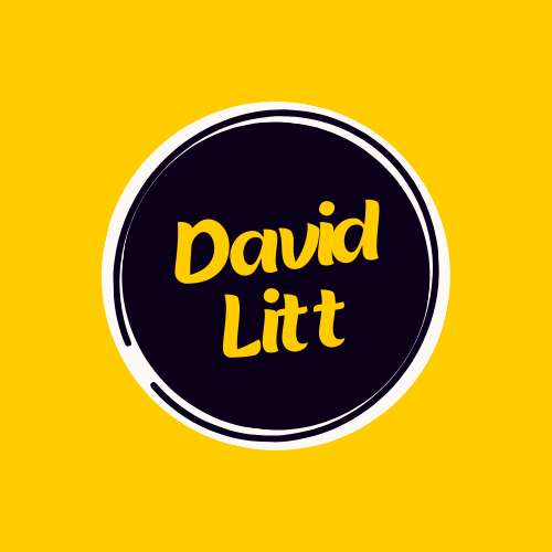 David Litt Profile Picture