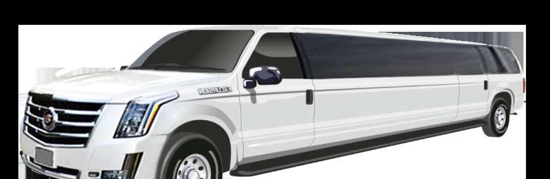 CT State Limo Cover Image