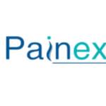 Painex painex Profile Picture
