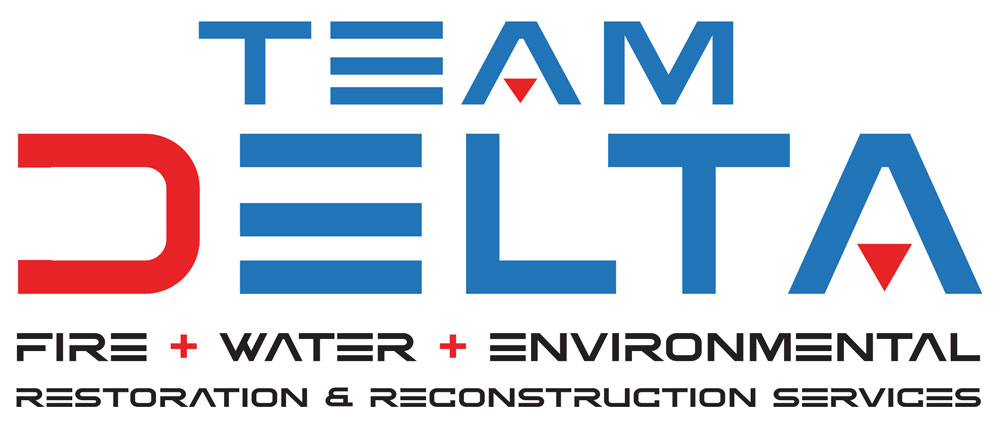 Restoration & Reconstruction | Team Delta