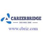 Careerbridge Consultants Profile Picture
