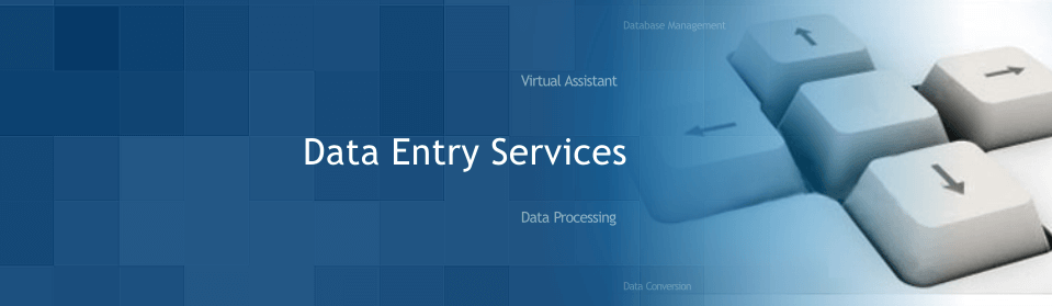 E-Commerce Product Data Entry Services & Catalog Processing Solution | Ecommerce Virtual Assistant | Amazon Expert VA | Data Entry Assistant