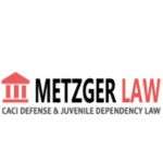 Paul Metzger Law Profile Picture