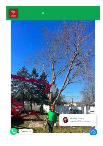 Tree Removal and Trimming Services in Buffalo, NY