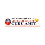 Astrologer Guru Amit Ji Profile Picture