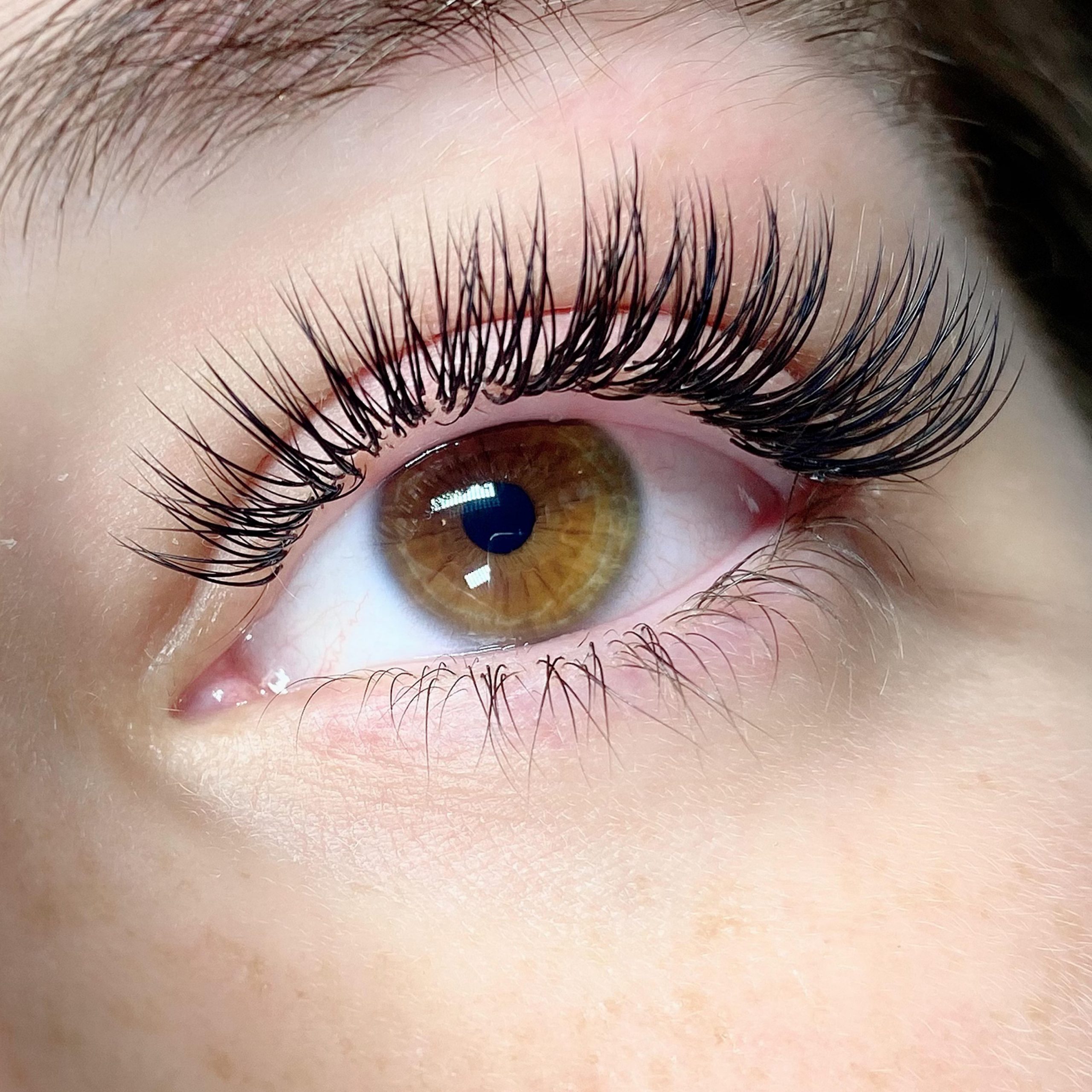 Enhance Your Look with Eyelash Extensions: A Comprehensive Guide | TechPlanet