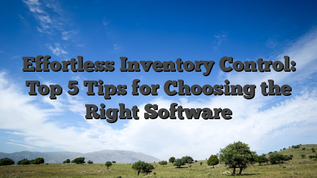 Inventory Control: Top 5 Tips for Choosing the Right Software