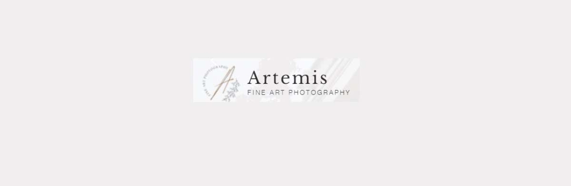Artemis Fine Art Cover Image