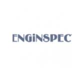 ENGiNSPECT Profile Picture