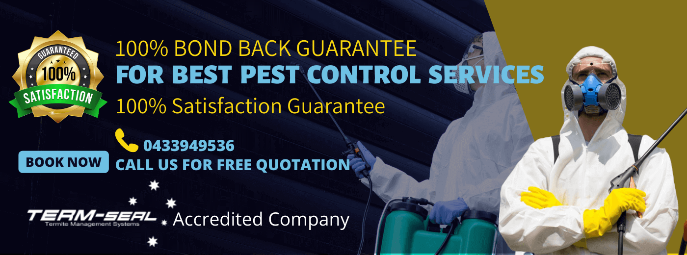 365 Pest Control on Tumblr: Moving Into a New Home? Here are Some Pest Control Tips