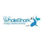 Baja Whale Shark